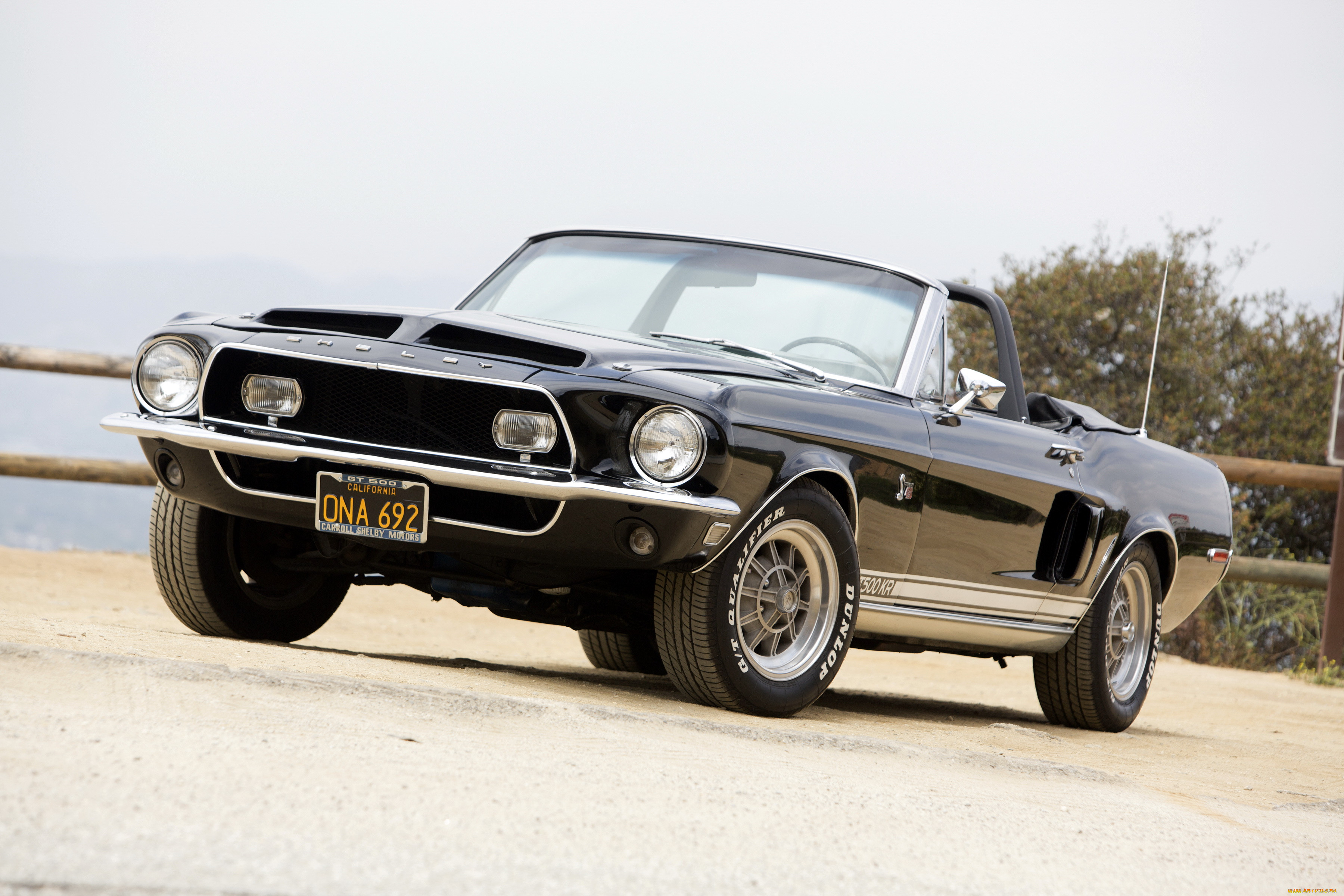 Ford Mustang Shelby gt350 1968